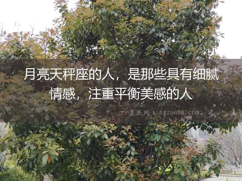 月亮天秤座的人，是那些具有細膩情感，注重平衡美感的人