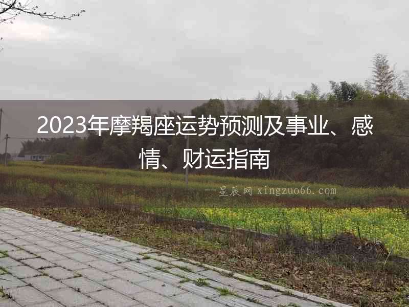 2023年摩羯座運(yùn)勢預(yù)測及事業(yè)、感情、財(cái)運(yùn)指南