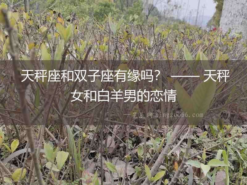  天秤座和雙子座有緣嗎？ —— 天秤女和白羊男的戀情
