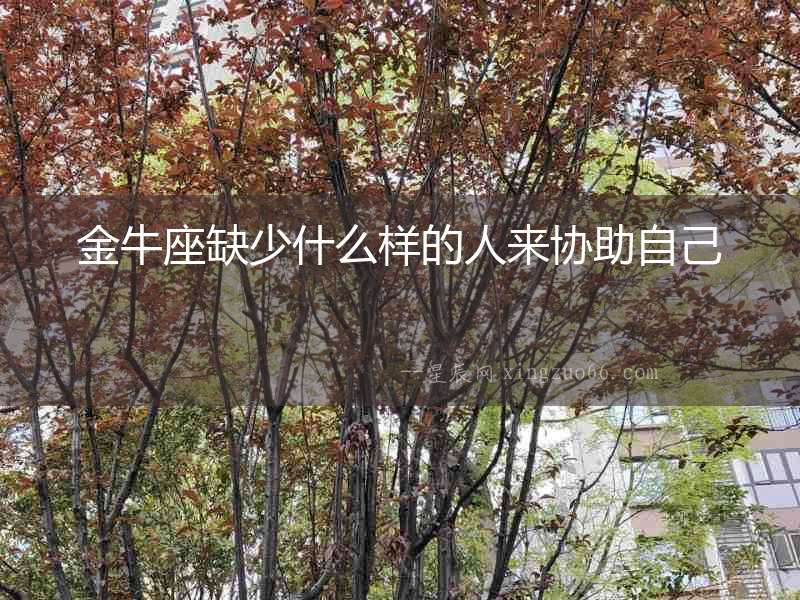 金牛座缺少什么樣的人來協助自己