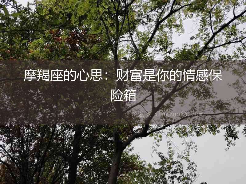 摩羯座的心思：財(cái)富是你的情感保險(xiǎn)箱