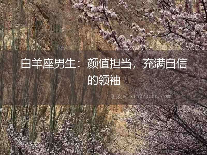 白羊座男生：顏值擔(dān)當(dāng)，充滿自信的領(lǐng)袖