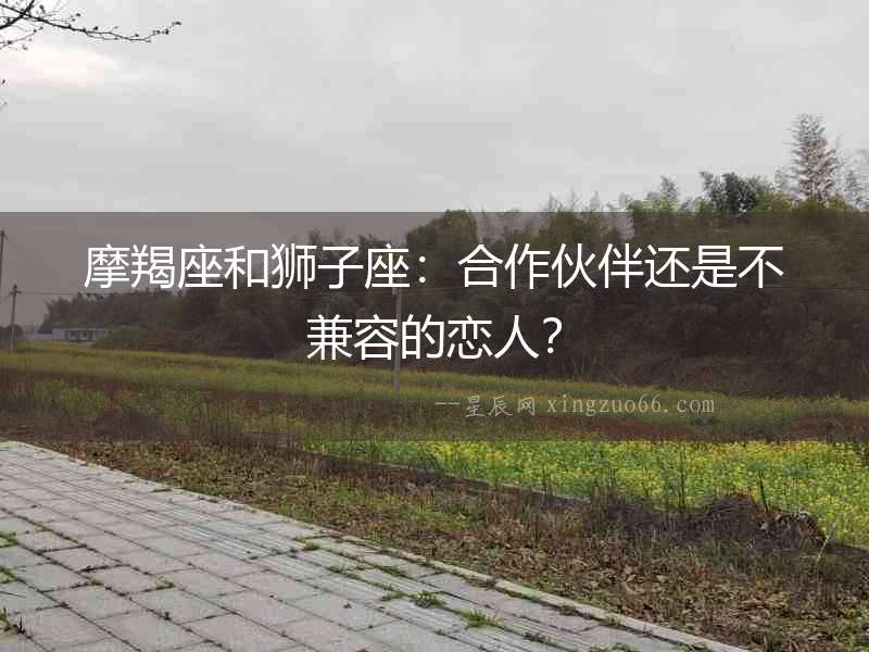 摩羯座和獅子座：合作伙伴還是不兼容的戀人？