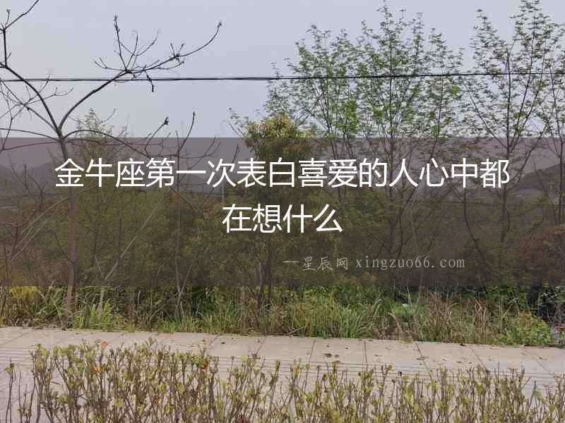 金牛座第一次表白喜愛的人心中都在想什么