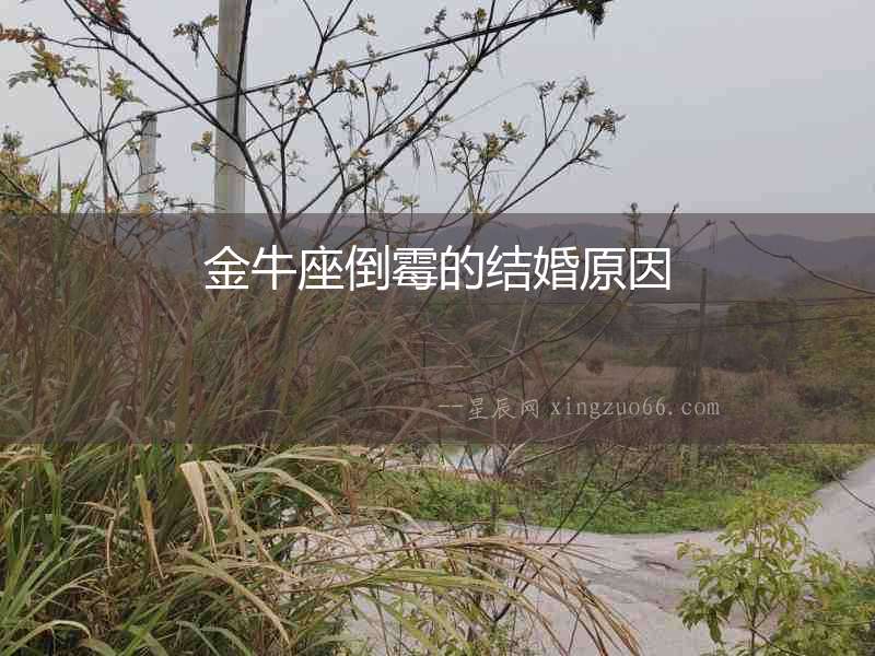 金牛座倒霉的結婚原因