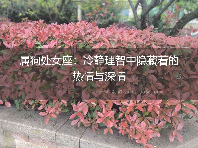 屬狗處女座：冷靜理智中隱藏著的熱情與深情