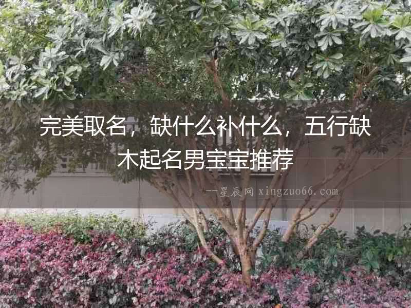 完美取名，缺什么補什么，五行缺木起名男寶寶推薦