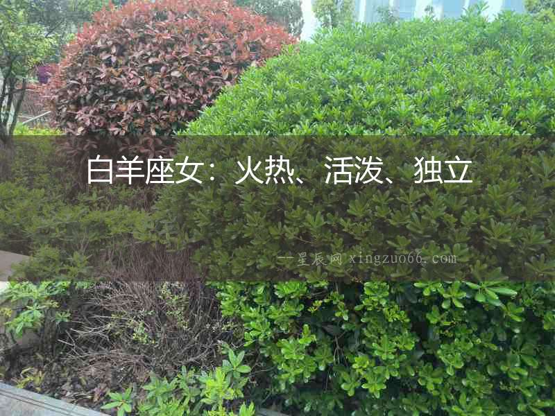 白羊座女：火熱、活潑、獨立