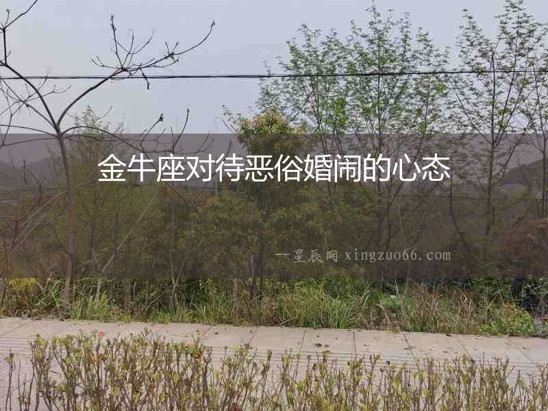 金牛座對待惡俗婚鬧的心態