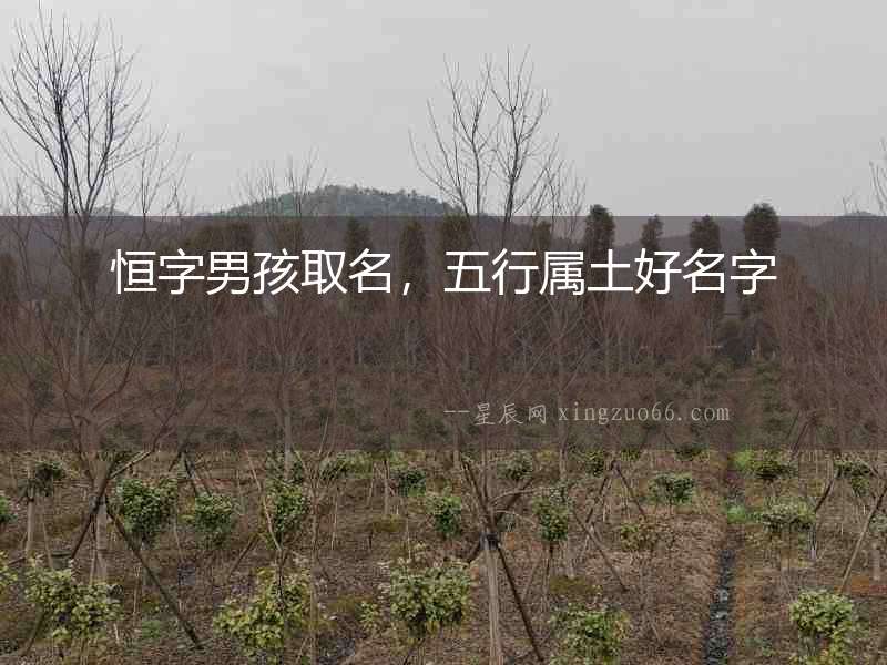 恒字男孩取名，五行屬土好名字