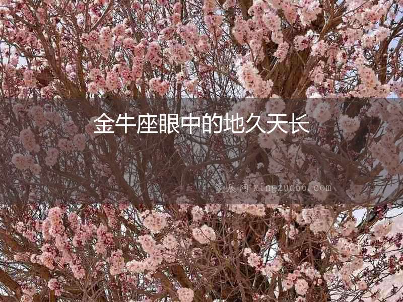 金牛座眼中的地久天長