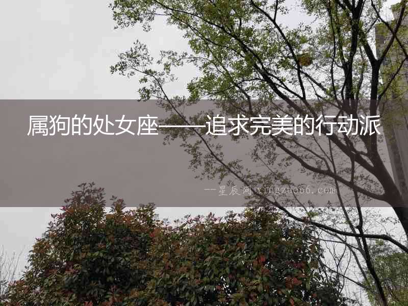 屬狗的處女座——追求完美的行動(dòng)派