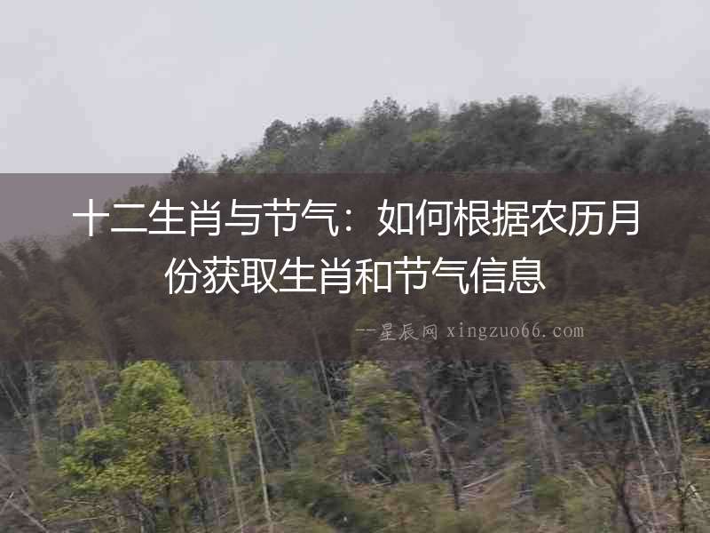 十二生肖與節氣：如何根據農歷月份獲取生肖和節氣信息