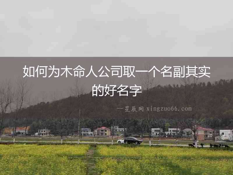 如何為木命人公司取一個(gè)名副其實(shí)的好名字