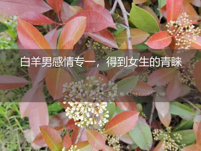 白羊男感情專一，得到女生的青睞