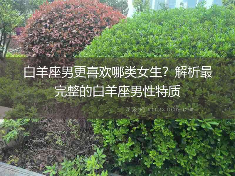 白羊座男更喜歡哪類女生？解析最完整的白羊座男性特質