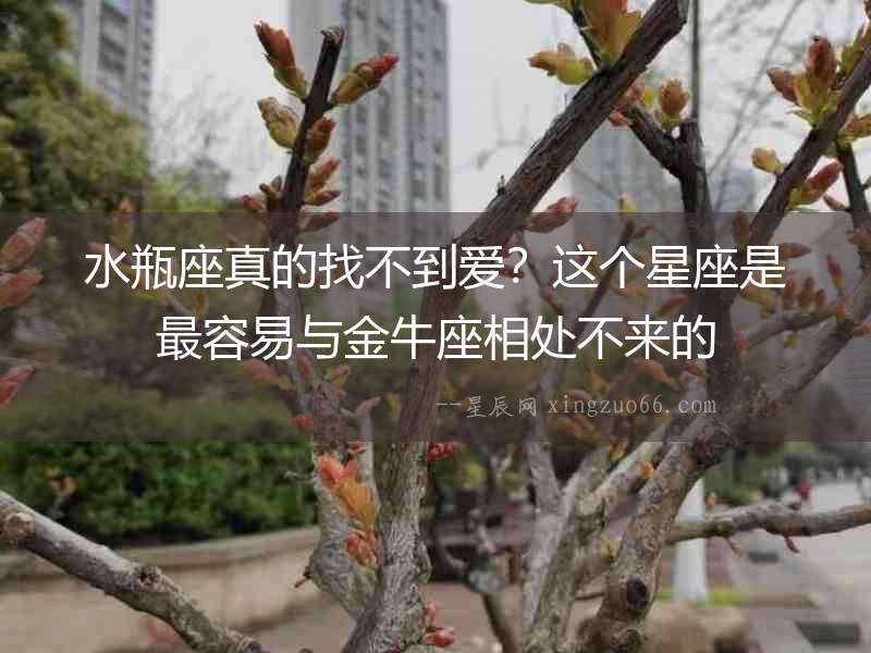 水瓶座真的找不到愛？這個星座是最容易與金牛座相處不來的