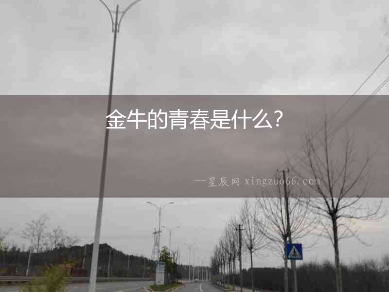 金牛的青春是什么？