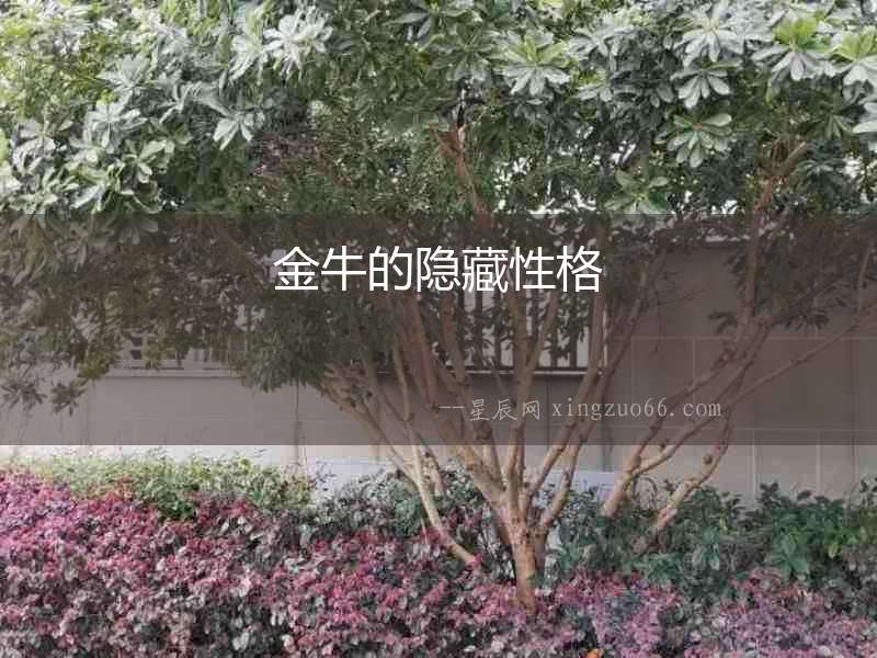 金牛的隱藏性格