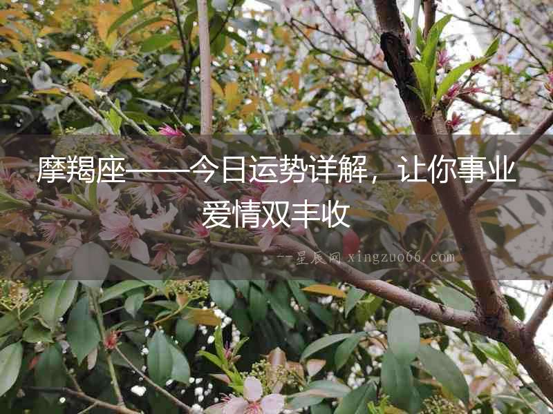 摩羯座——今日運(yùn)勢詳解，讓你事業(yè)愛情雙豐收