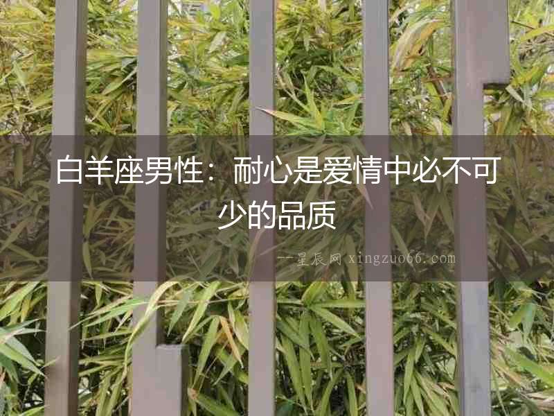 白羊座男性：耐心是愛情中必不可少的品質