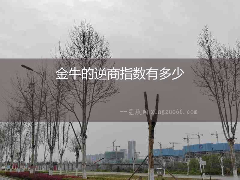 金牛的逆商指數有多少