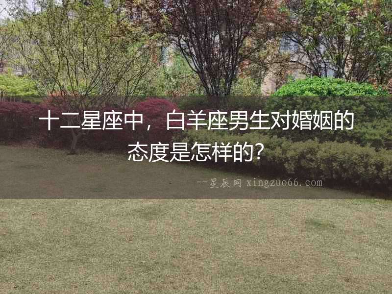 十二星座中，白羊座男生對婚姻的態度是怎樣的？