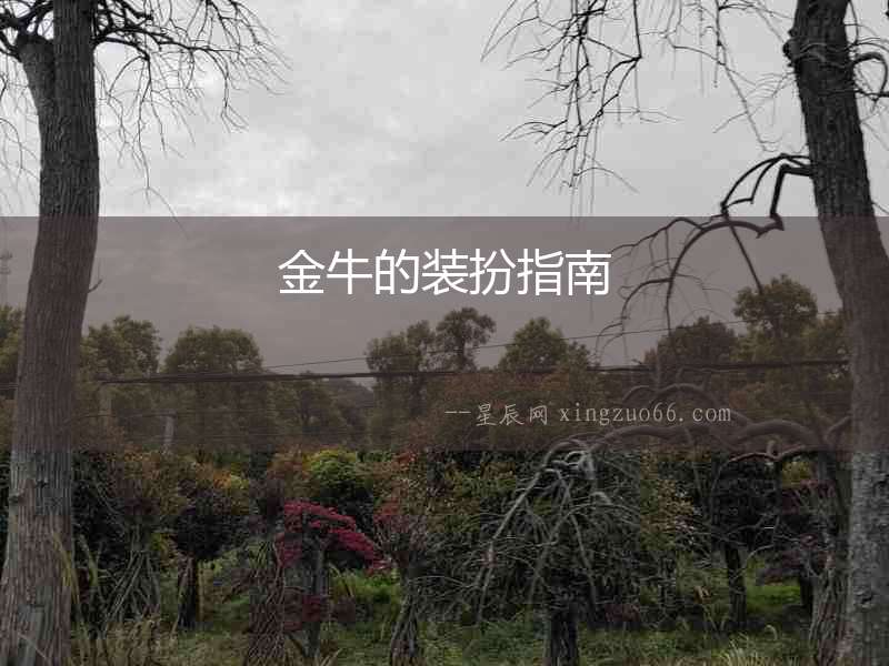 金牛的裝扮指南