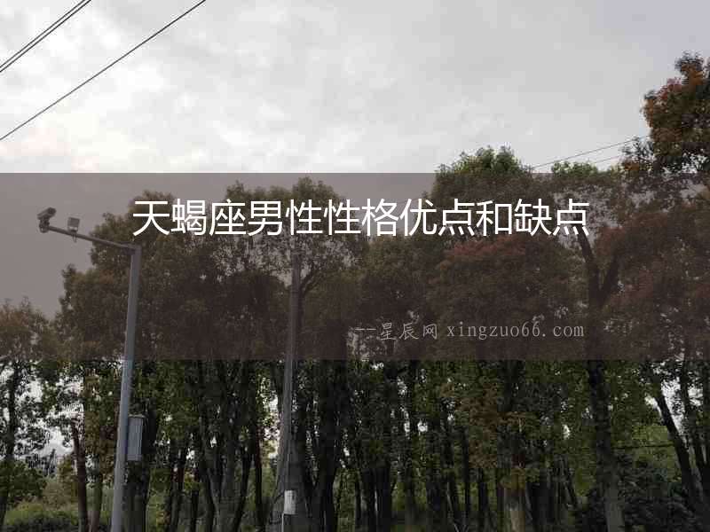  天蝎座男性性格優(yōu)點和缺點