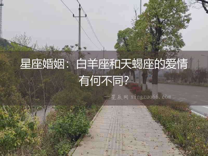星座婚姻：白羊座和天蝎座的愛情有何不同？