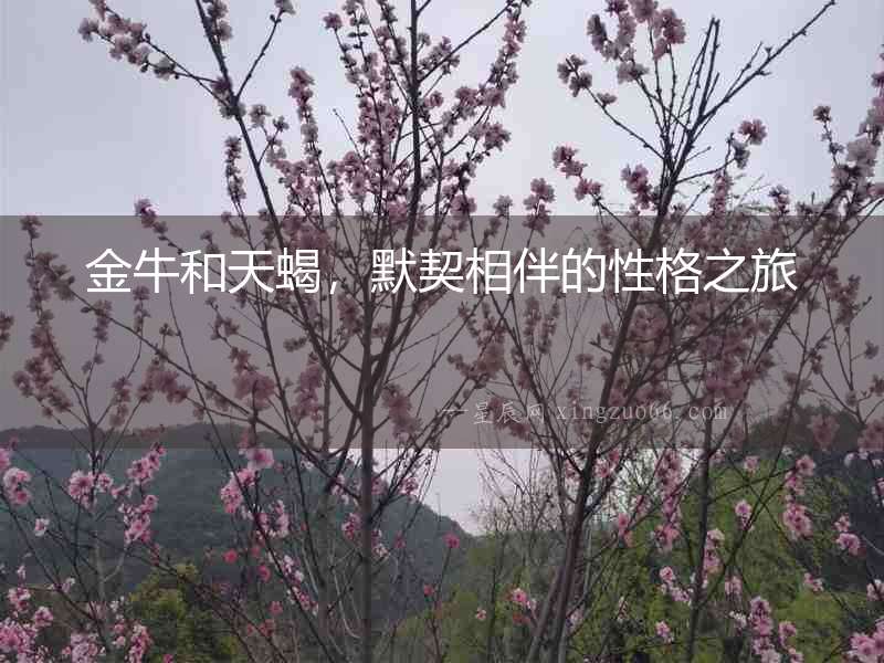 金牛和天蝎，默契相伴的性格之旅