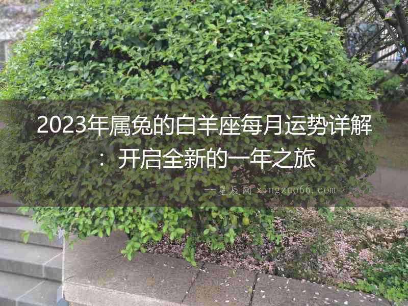 2023年屬兔的白羊座每月運勢詳解：開啟全新的一年之旅