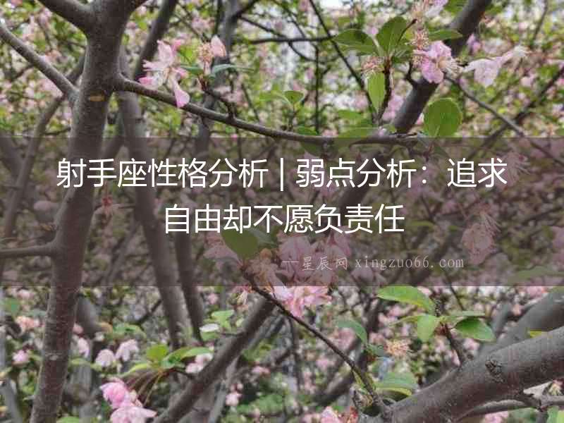 射手座性格分析 | 弱點分析：追求自由卻不愿負責任