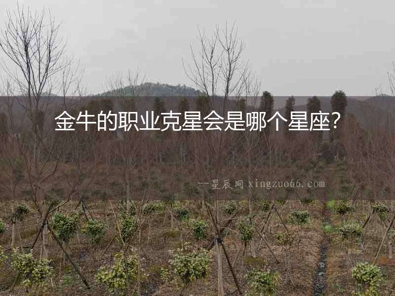 金牛的職業克星會是哪個星座？