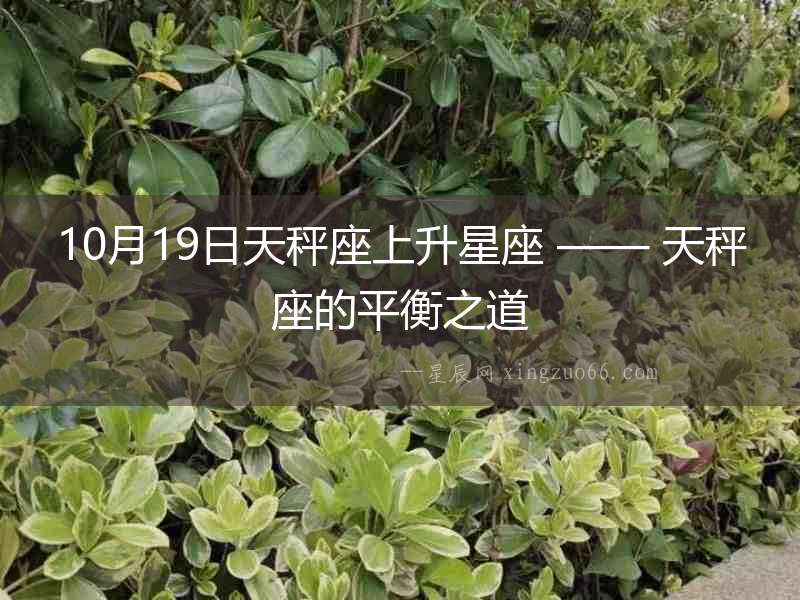 10月19日天秤座上升星座 —— 天秤座的平衡之道