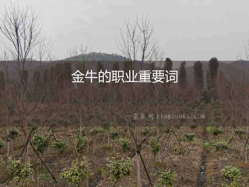 金牛的職業重要詞