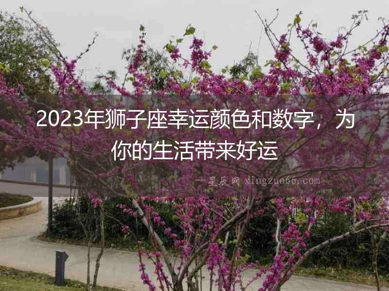 2023年獅子座幸運顏色和數字，為你的生活帶來好運