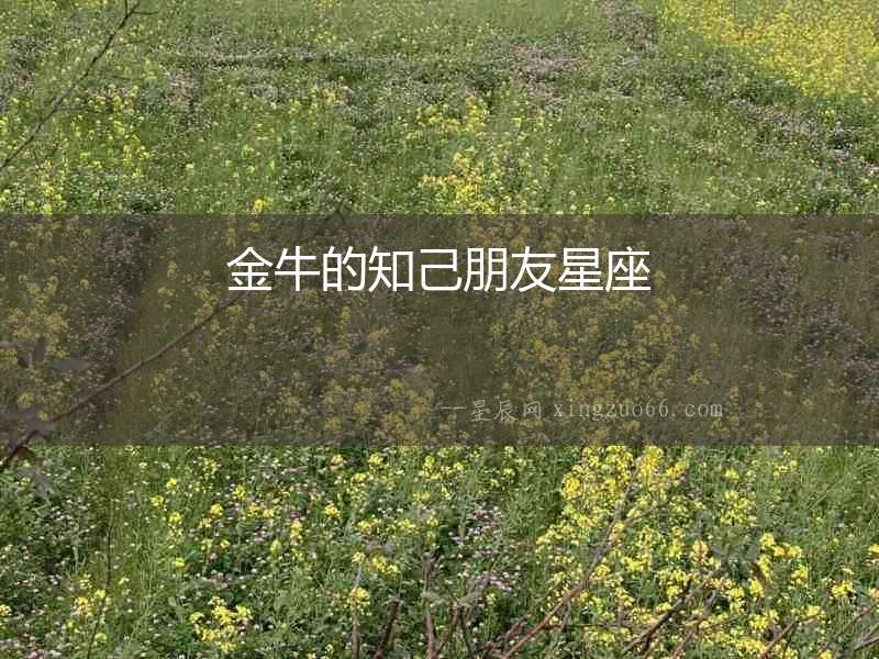 金牛的知己朋友星座