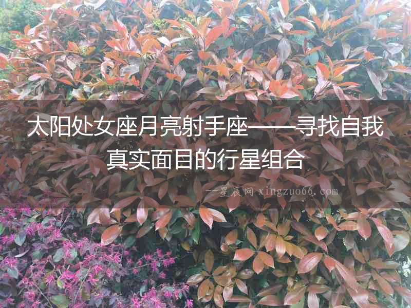 太陽處女座月亮射手座——尋找自我真實面目的行星組合