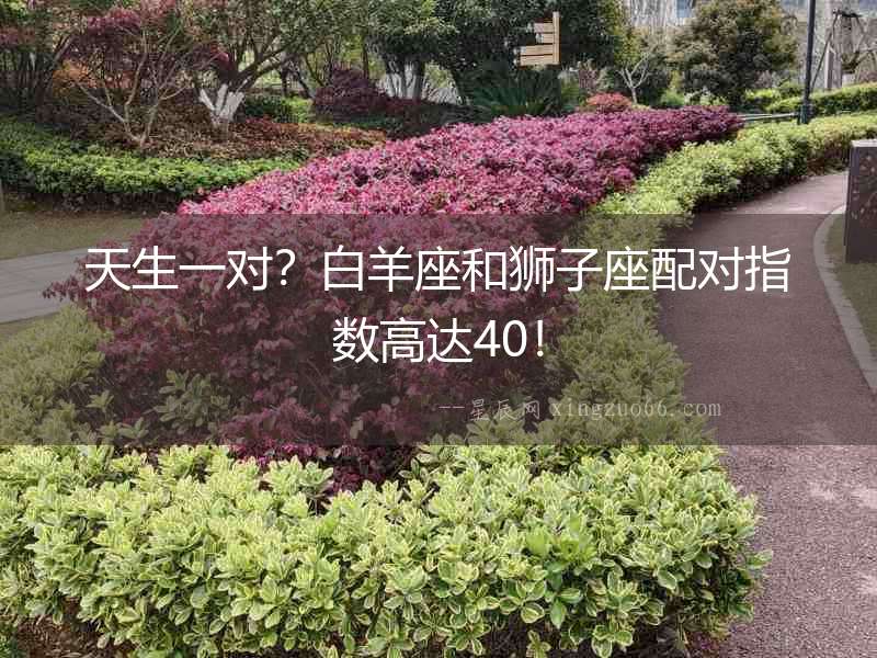 天生一對(duì)？白羊座和獅子座配對(duì)指數(shù)高達(dá)40！