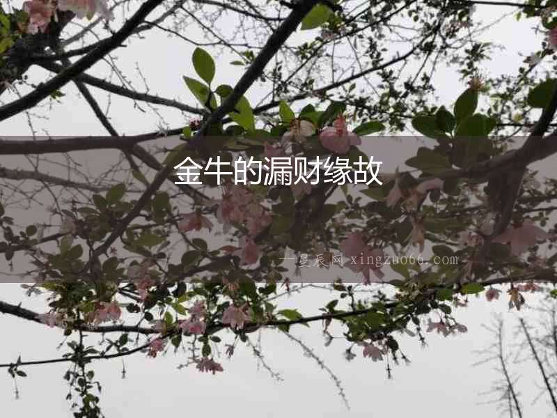 金牛的漏財緣故