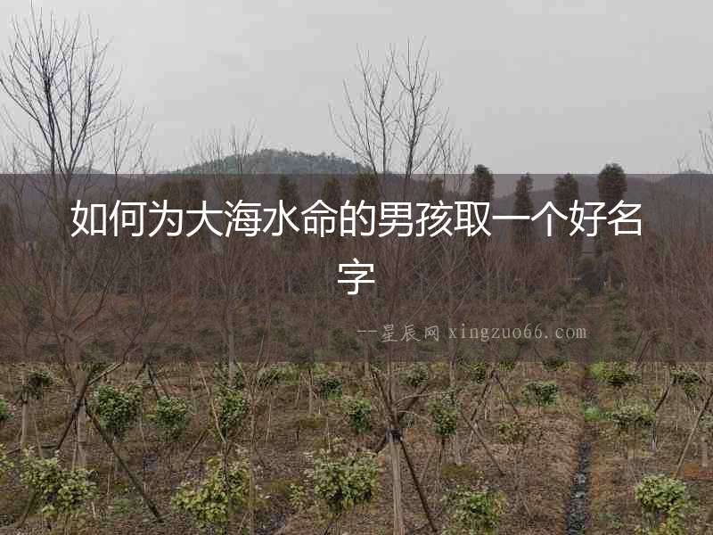 如何為大海水命的男孩取一個好名字