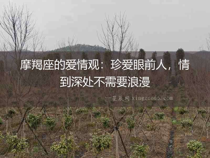 摩羯座的愛情觀：珍愛眼前人，情到深處不需要浪漫