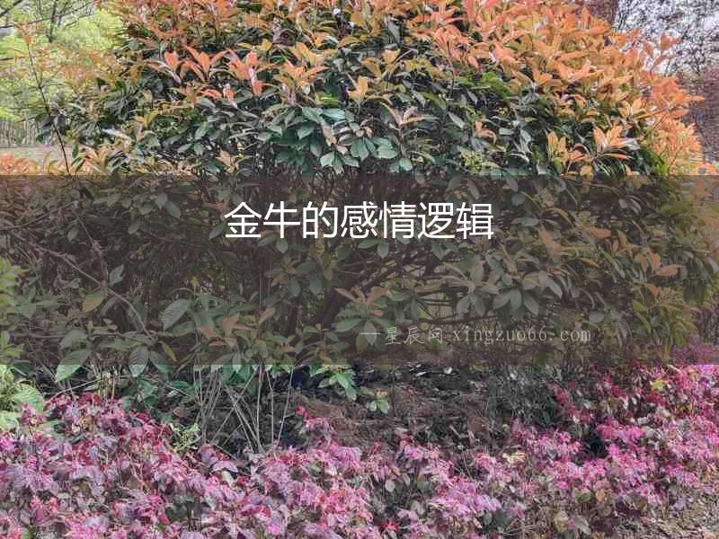 金牛的感情邏輯