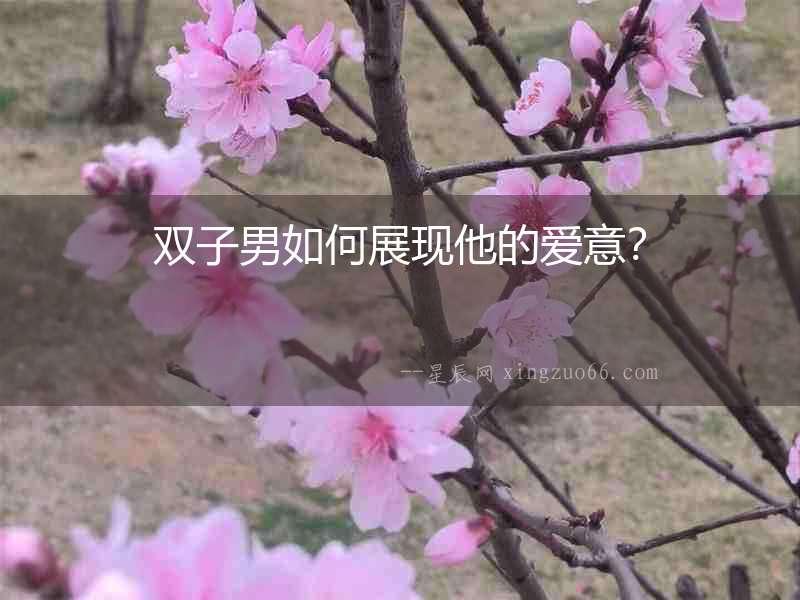雙子男如何展現他的愛意？