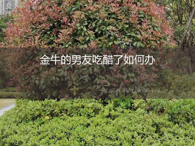 金牛的男友吃醋了如何辦