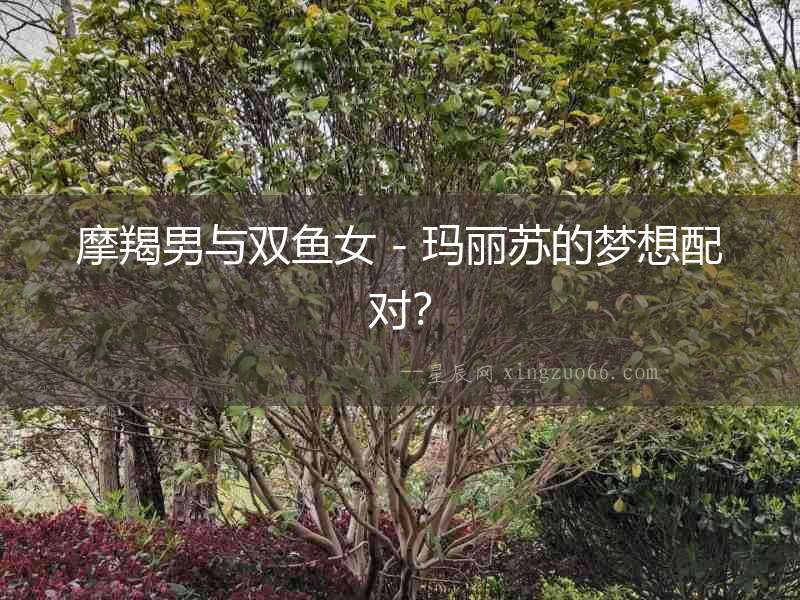 摩羯男與雙魚女 - 瑪麗蘇的夢想配對？