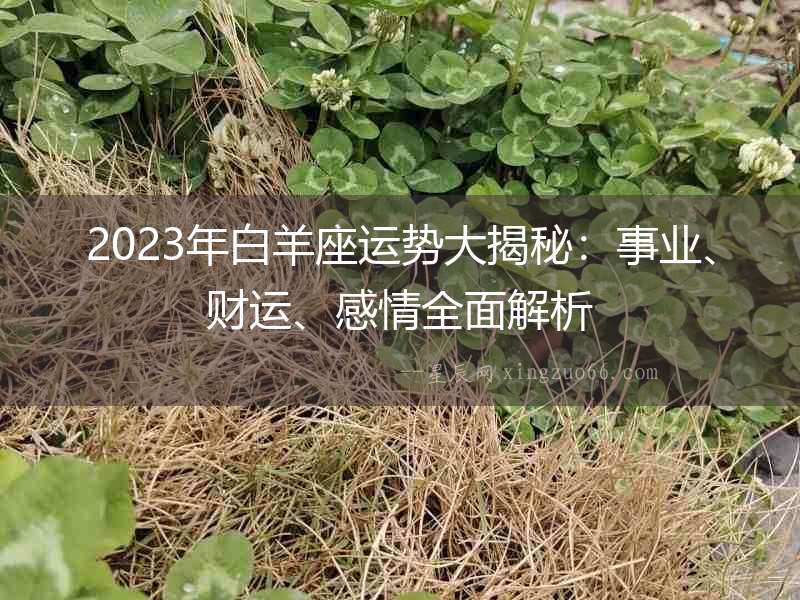 2023年白羊座運勢大揭秘：事業、財運、感情全面解析