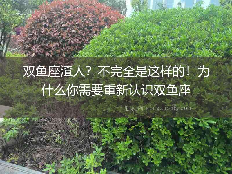 雙魚座渣人？不完全是這樣的！為什么你需要重新認識雙魚座