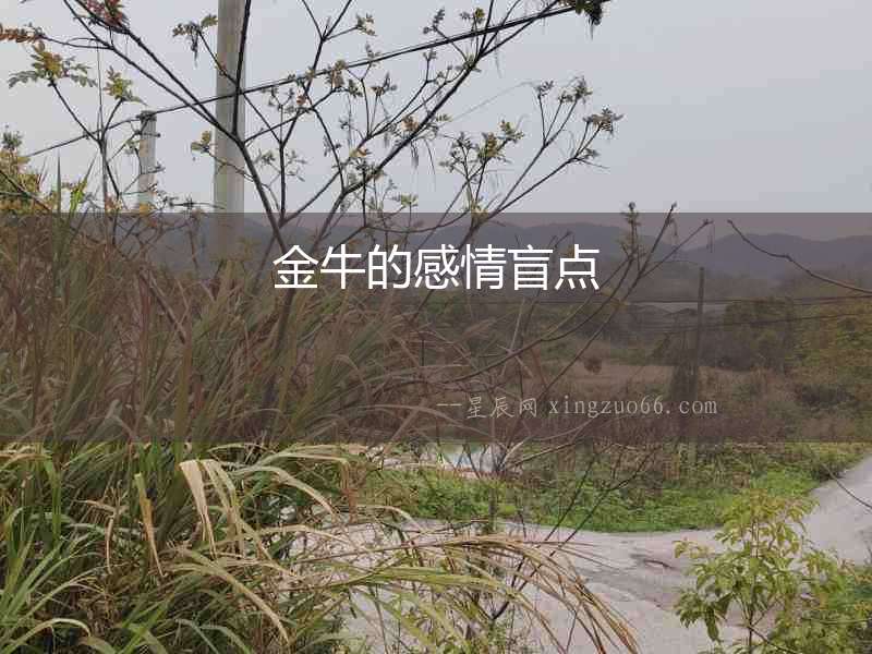 金牛的感情盲點